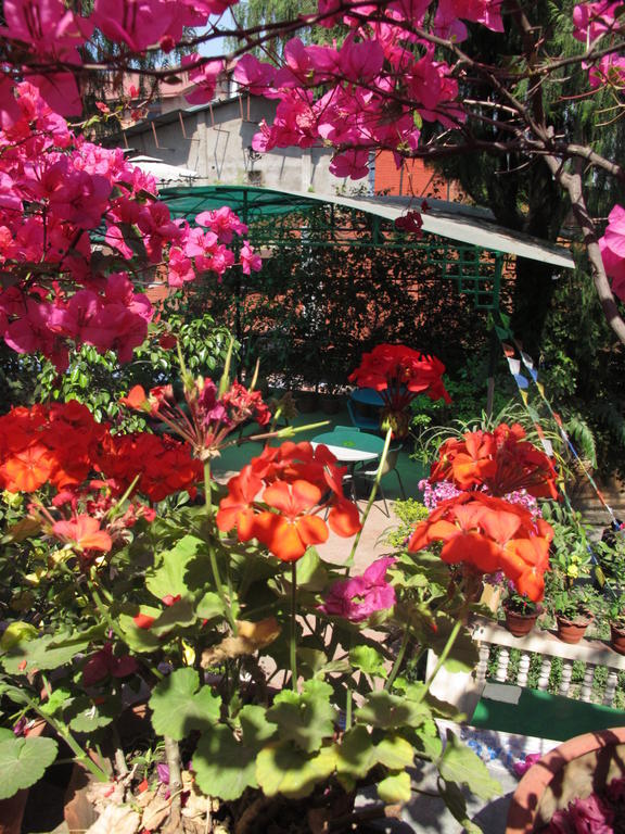 Souvenir Guest House กาฐมาณฑุ ภายนอก รูปภาพ